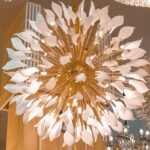 584140063 1412099977589977 3991963802846180442 n